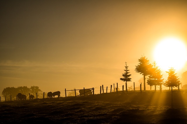 Pourquoi se réveiller à 4h30 tôt le matin?