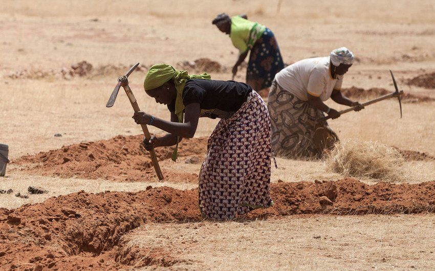  Lutte contre le changement climatique en Afrique : Le Royaume-Uni va investir 49 millions de livres sterling 