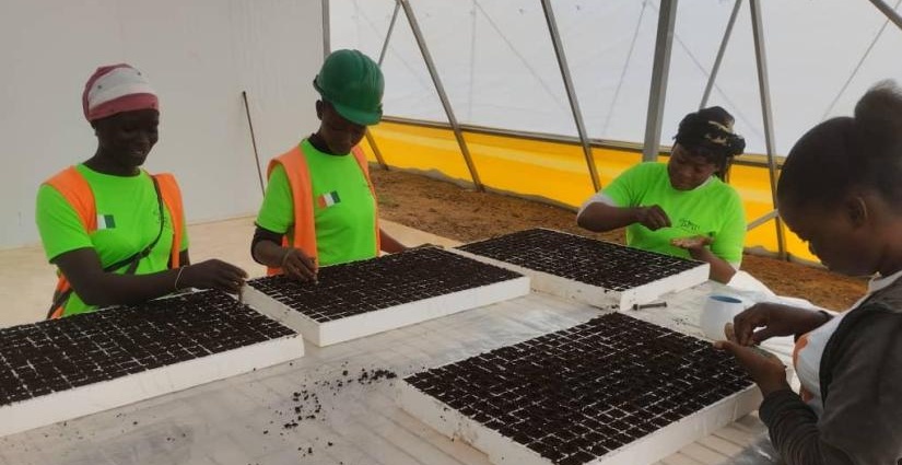 Des pensionnaires du centre à l'œuvre AIP |formations pour révolutionner le secteur agricole