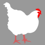 Image poulet illustrative