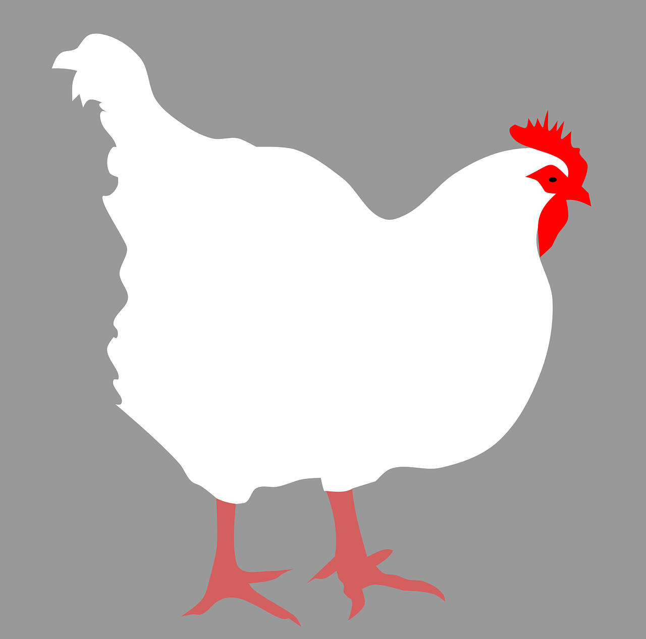 Image poulet illustrative