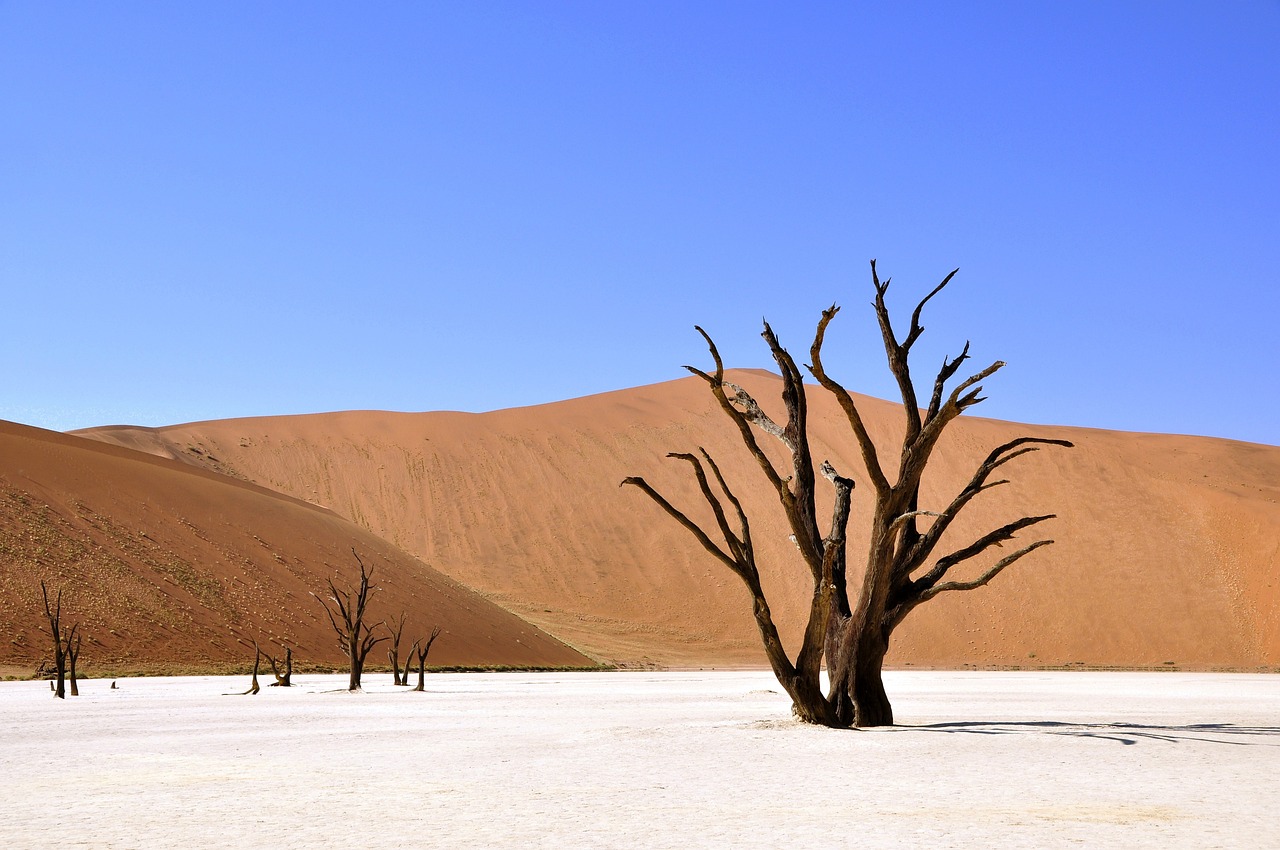 image desert Afrique