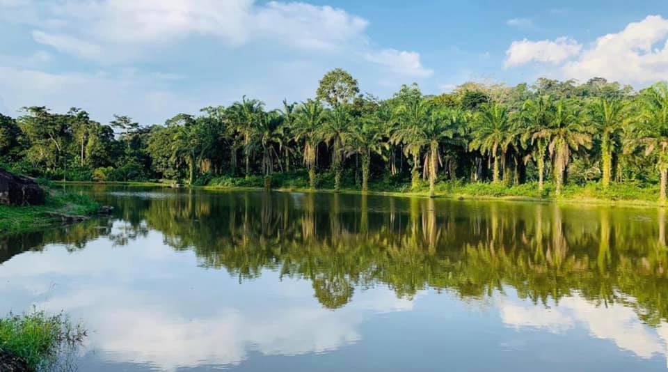 Climat et saison au Cameroun