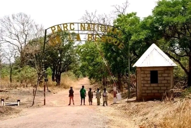 Ngaoundéré et le parc national de la Bénoué