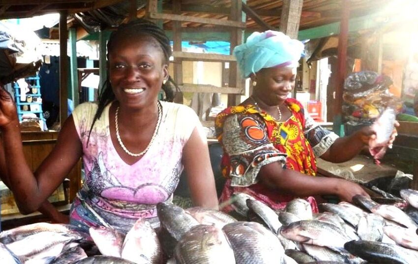  Sécurité alimentaire : d’importants programmes mis en œuvre pour assurer l’approvisionnement en viande et en poisson !