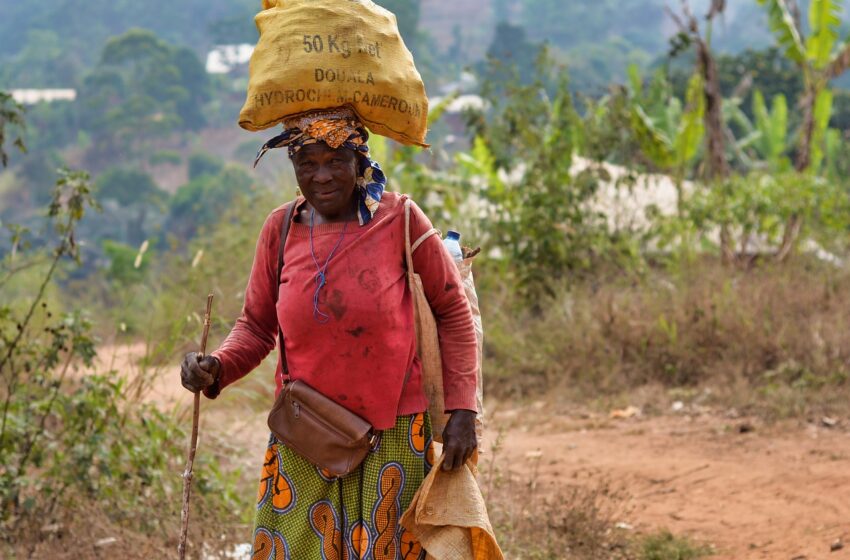  Trois humanitaires enlevés au Cameroun dans la région de l’Extrême-Nord