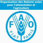 Offre d'Emplois : L'Organisation de l'Alimentation et de l'Agriculture (FAO) recrute maintenant!