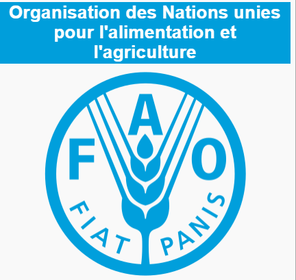 Offre d'Emplois : L'Organisation de l'Alimentation et de l'Agriculture (FAO) recrute maintenant!