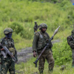 RDC : L'Afrique du Sud enverra 2.900 militaires dans l'est pour combattre les insurgés