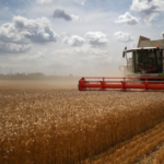 Les livraisons gratuites de blé russe à l'Afrique se déroulent comme prévu, la Russie.