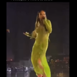 La performance de Rihanna rapportée à 6 millions de dollars lors de la fête de pré-mariage indienne.