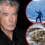 L'acteur Pierce Brosnan plaide coupable à une accusation de randonnée illégale dans l'affaire de Yellowstone.