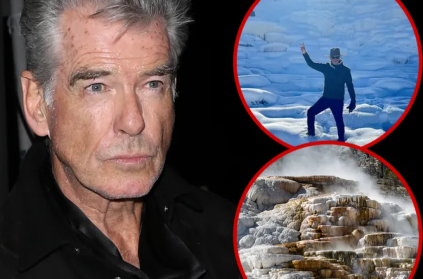  L’acteur Pierce Brosnan plaide coupable à une accusation de randonnée illégale dans l’affaire de Yellowstone.