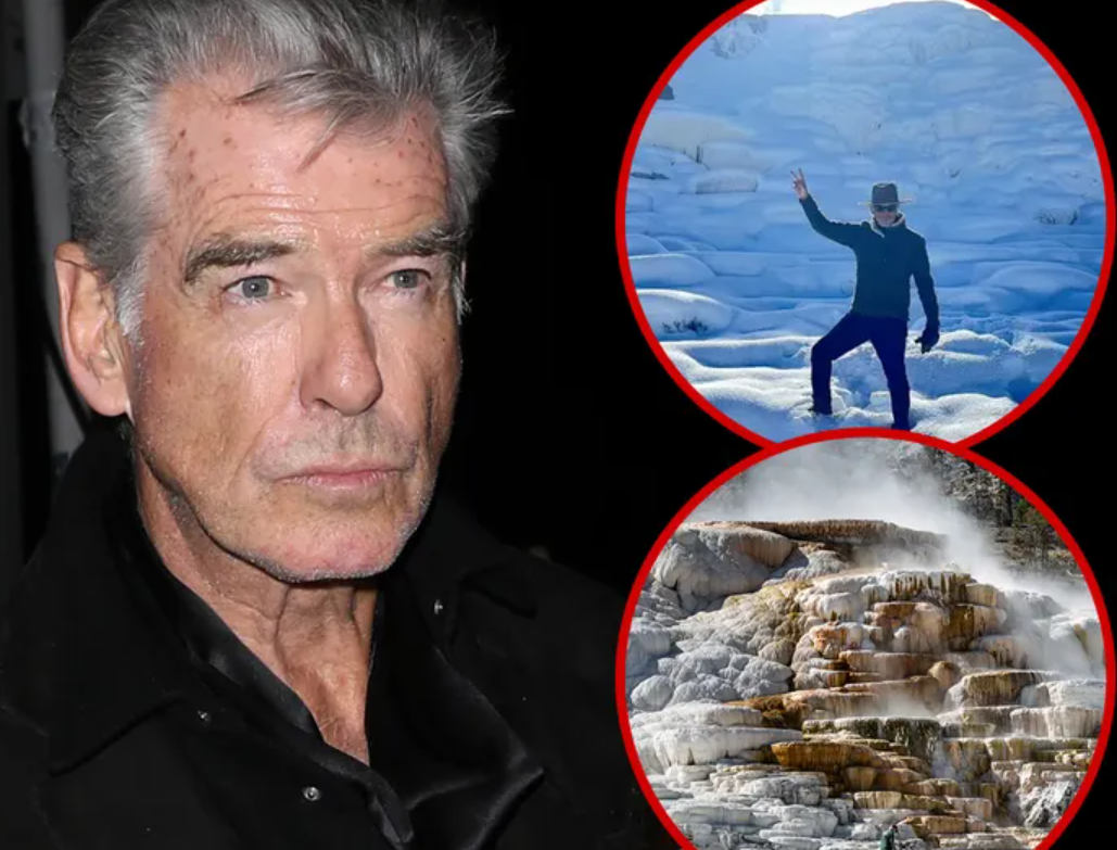 L'acteur Pierce Brosnan plaide coupable à une accusation de randonnée illégale dans l'affaire de Yellowstone.