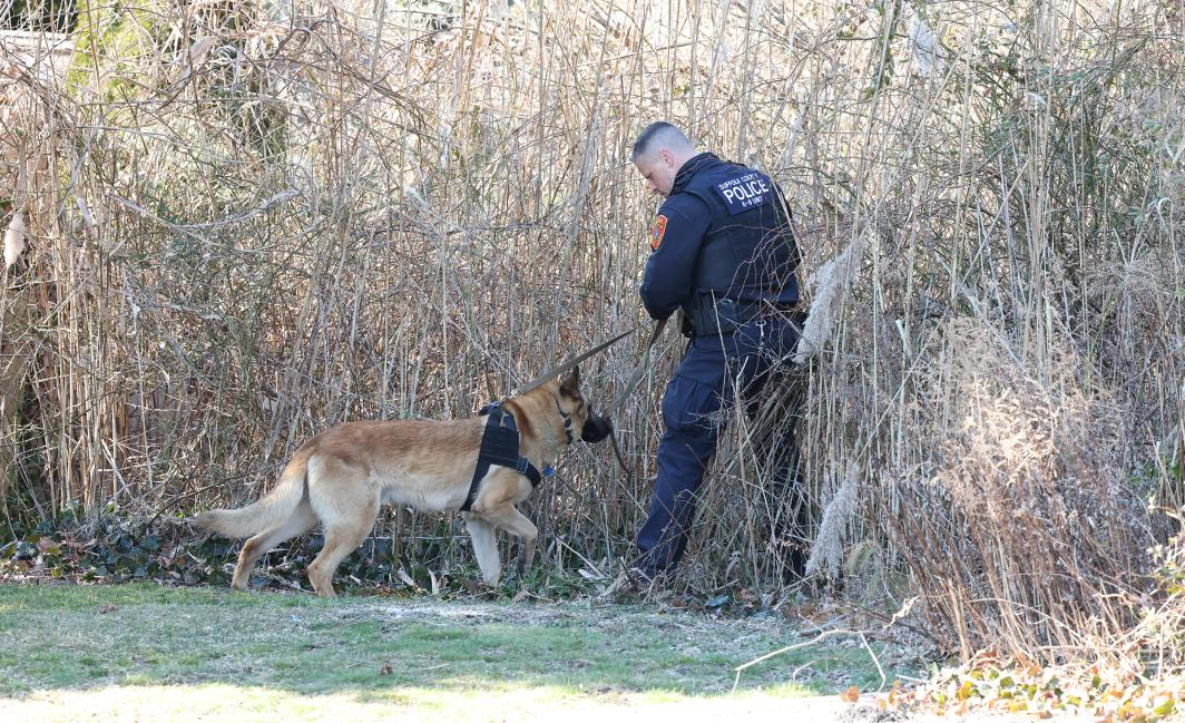 Quatre personnes arrêtées après la découverte de parties du corps sectionnées d'un homme et d'une femme dans un parc de New York