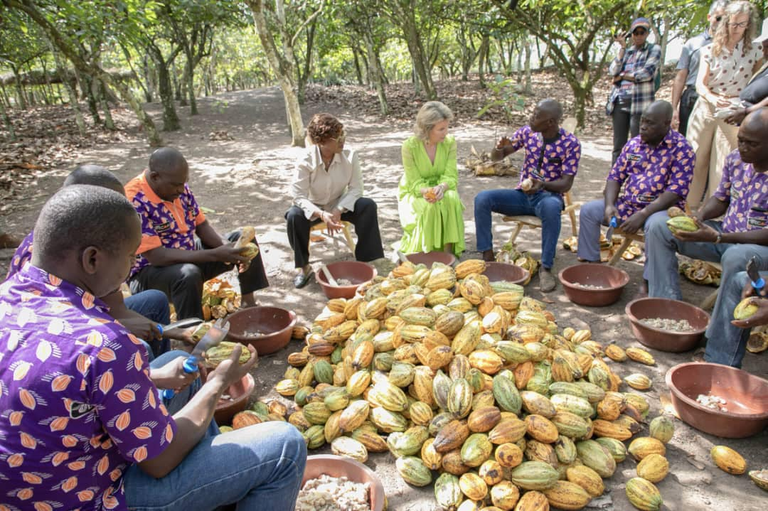 Sa Majesté la Reine Mathilde de Belgique visite une plantation de cacao en Côte d'Ivoire : Une reconnaissance des avancées vers les Objectifs de Développement Durable