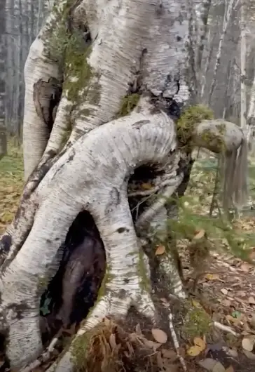 Je tremble en écrivant ces lignes - Ces 14 photos tirées d'Internet cette semaine sont terrifiantes.