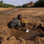 Sécheresse en Afrique australe : la famine menace 20 millions de personnes