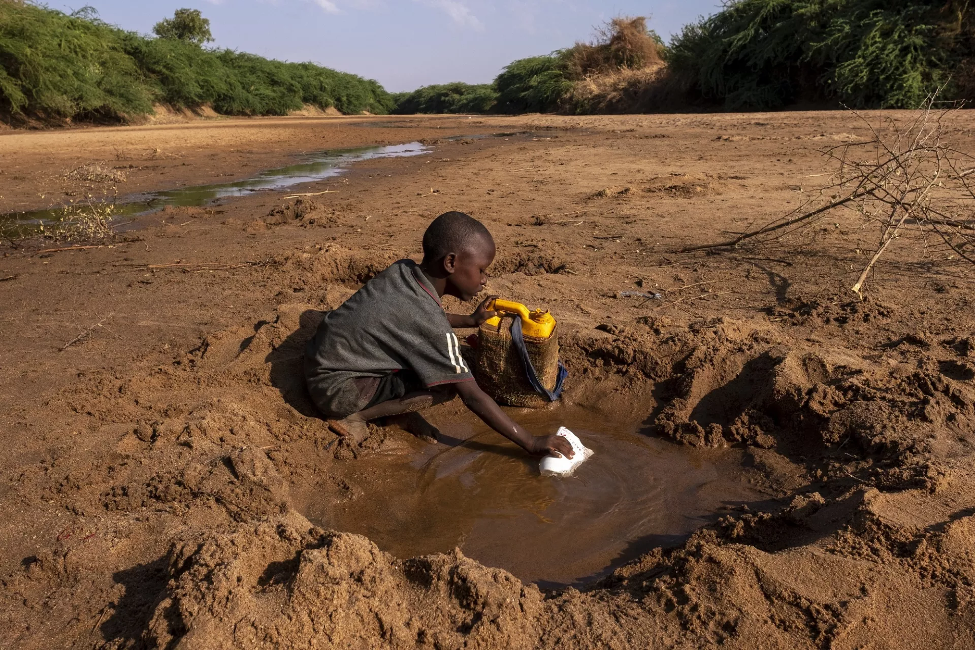 Sécheresse en Afrique australe : la famine menace 20 millions de personnes