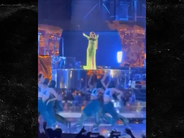 
La performance de Rihanna rapportée à 6 millions de dollars lors de la fête de pré-mariage indienne.