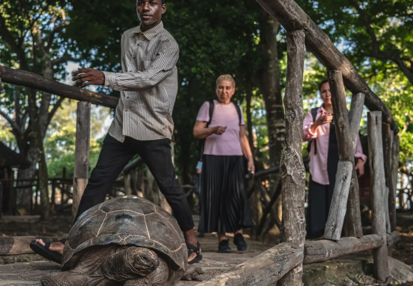  8 enfants et 1 adulte meurent après avoir mangé de la viande de tortue de mer sur une île africaine isolée.