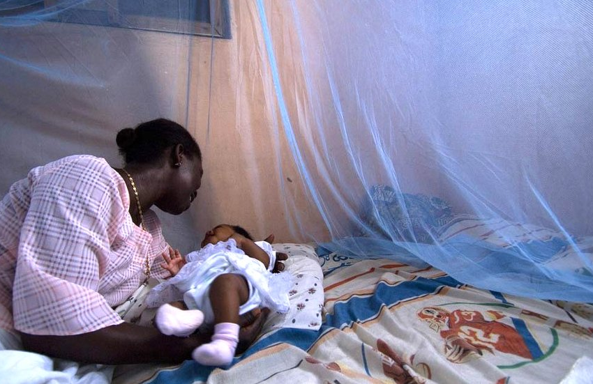  Santé : la lutte contre le paludisme en Côte d’Ivoire, au menu de « Tout savoir sur », ce mardi 23 avril 2024