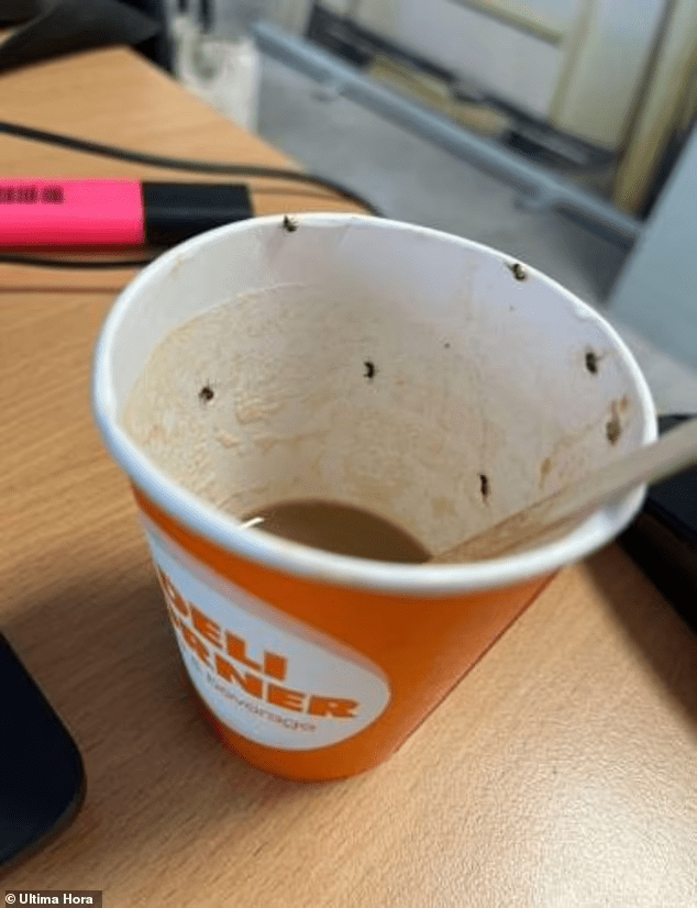 Une femme de 21 ans lutte pour sa survie après avoir bu du café contenant des insectes