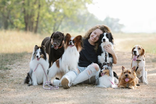 Les erreurs courantes à éviter lors du dressage de votre chien et comment les surmonter