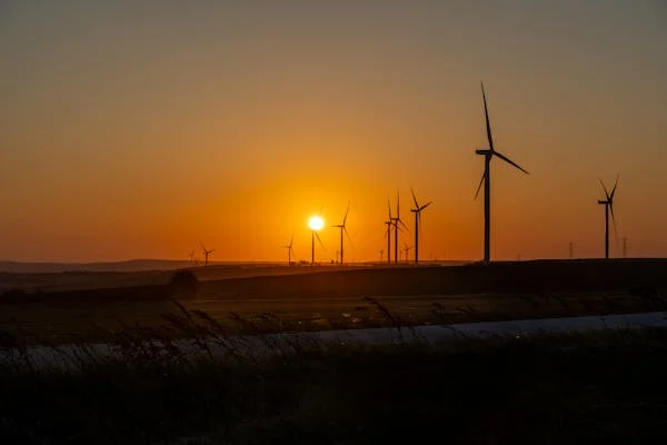 Des moyens simples d'avoir un impact positif sur l'environnement au quotidien !