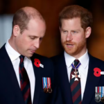 Le Prince Harry a prévenu qu'il n'avait "pas d'autre choix" que de faire un grand pas en avant lors de son voyage au Royaume-Uni.