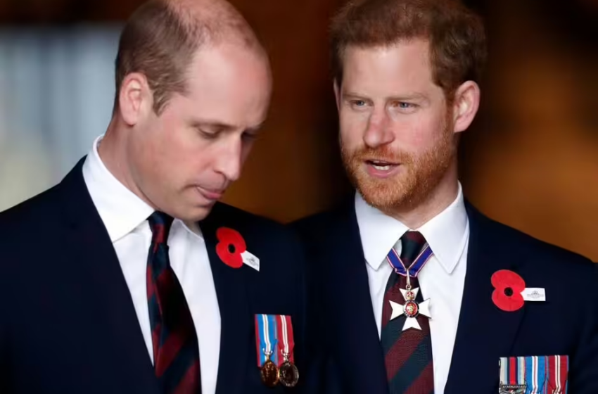  Le Prince Harry a prévenu qu’il n’avait “pas d’autre choix” que de faire un grand pas en avant lors de son voyage au Royaume-Uni.