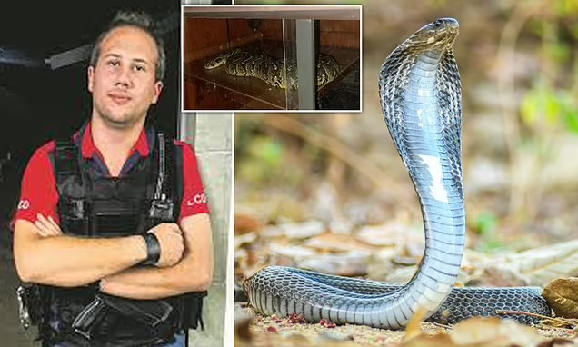 Un contrebandier d'animaux se suicide avec un serpent lors de son arrestation en Afrique du Sud (Photos)