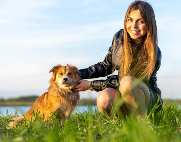  Comment gérer les comportements indésirables de votre chien en seulement 15 minutes par jour