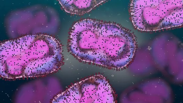  Alerte à la variole du singe au Cameroun : le virus se propage
