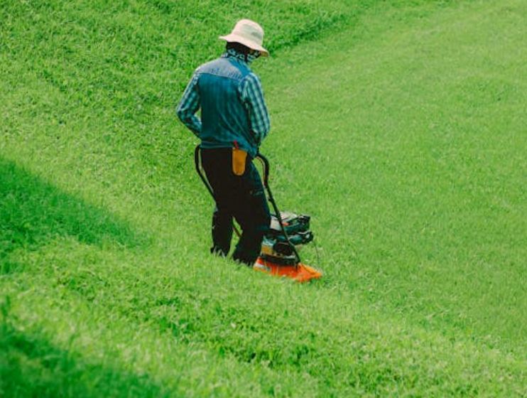  Comment Tondre une Pelouse sur une Colline : Conseils Essentiels