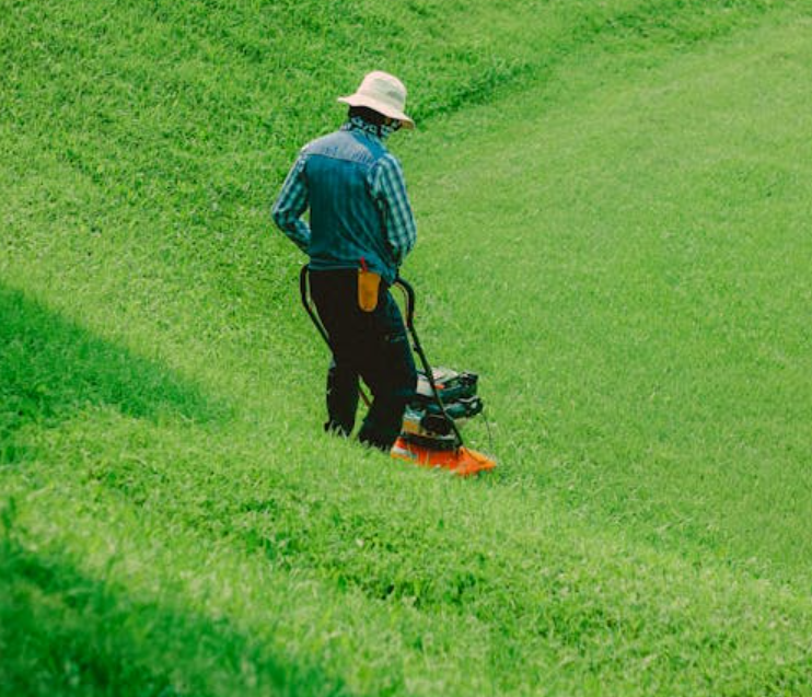 Comment Tondre une Pelouse sur une Colline : Conseils Essentiels