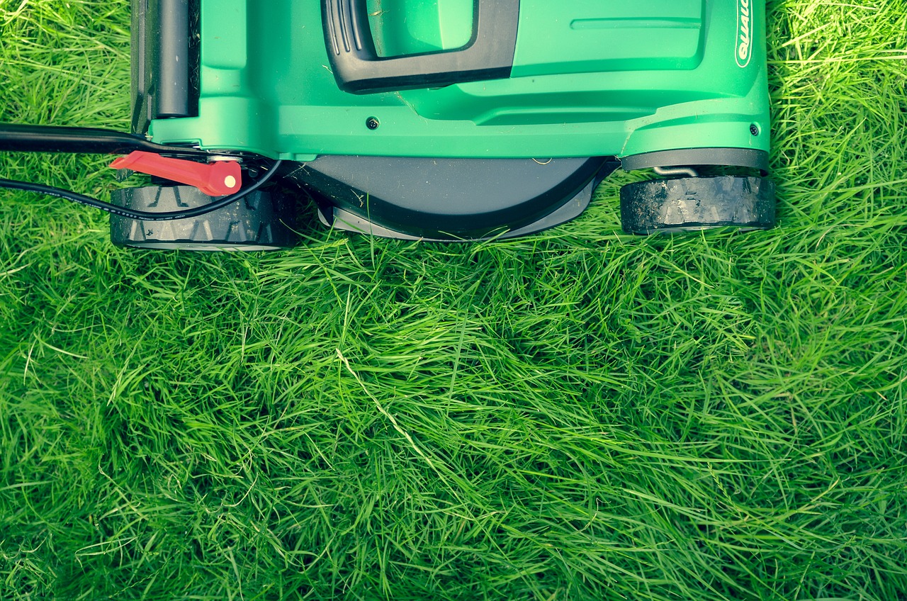 Tondeuses à gazon : Les tendances et innovations pour un jardinage plus facile