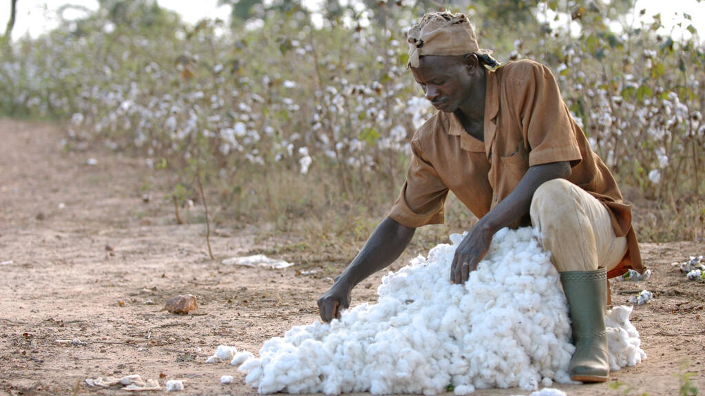 Dépendance du coton africain : les dangers liés au Bangladesh