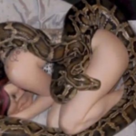 Tragédie en Indonésie : Une Femme Dévorée par un Python