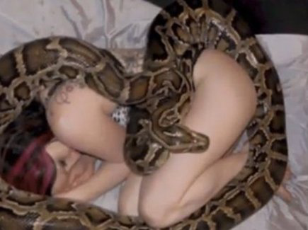 Tragédie en Indonésie : Une Femme Dévorée par un Python