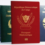 Les Passeports les Plus Influents d'Afrique : Les Seychelles en Tête; Absence Remarquée de la Côte d'Ivoire; du Bénin et de l'Algérie