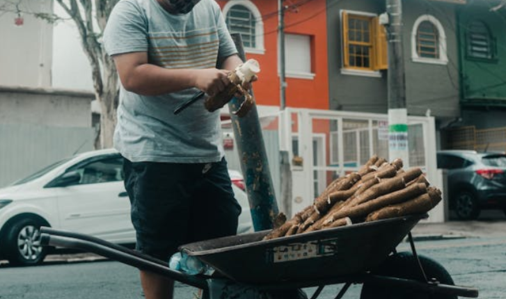 Les Bienfaits Nutritionnels du Manioc et Comment l'Utiliser en Cuisine