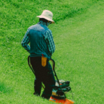 Comment Entretenir Votre Gazon Toute l'Année : Guide Complet pour un Jardin