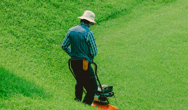 Comment Entretenir Votre Gazon Toute l'Année : Guide Complet pour un Jardin