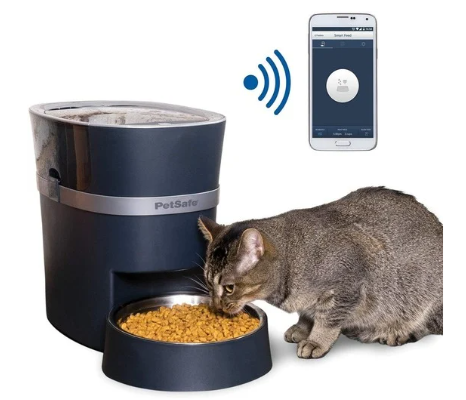 Meilleur distributeur automatique de croquettes pour chat