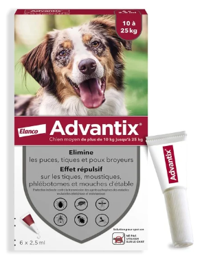 Meilleur comprimé anti-puce pour chien : Efficacité et sécurité