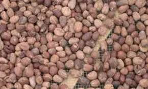  Les autorités burkinabè ont décidé de suspendre les exportations d’amandes de karité.