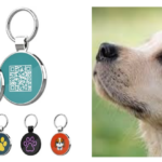 Guide d’Achat : Comment Choisir la Meilleure Médaille pour Chien