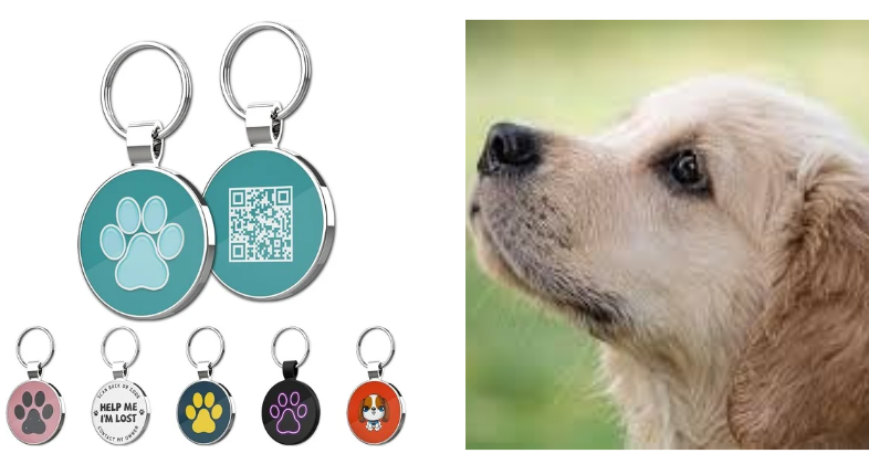  Guide d’Achat : Comment Choisir la Meilleure Médaille pour Chien