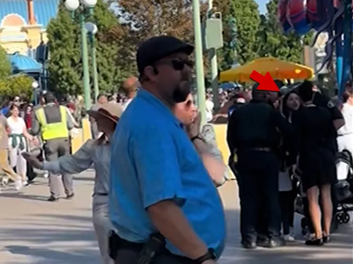 Une Mère Escortée Hors de Disneyland en Menottes Alors Que Ses Enfants Pleurent